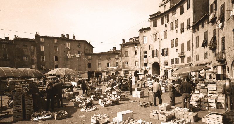 Top Image Homepage - Podere Micheli